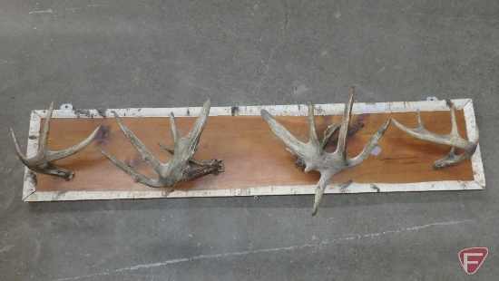 (2) antler sets mounted on wood board with birch trim, 56inx11in