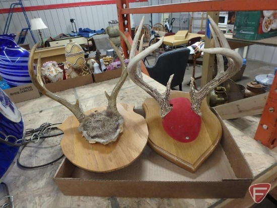 (2) antler sets mounted on wood plaques.