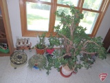 Large asst. of houseplants, stands, North corner of room