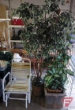 (3) artificial plants, tallest is 7ft, and strap glider patio chair. 4 pieces