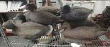 Mallard duck decoys (9)