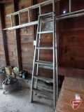 Aluminum 6 foot ladder, aluminum extension ladder, and snow rake.