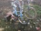 Huffy men's bicycle, AMF Roadmaster SkyQueen youth banana seat bike, and Coast King metal tricycle