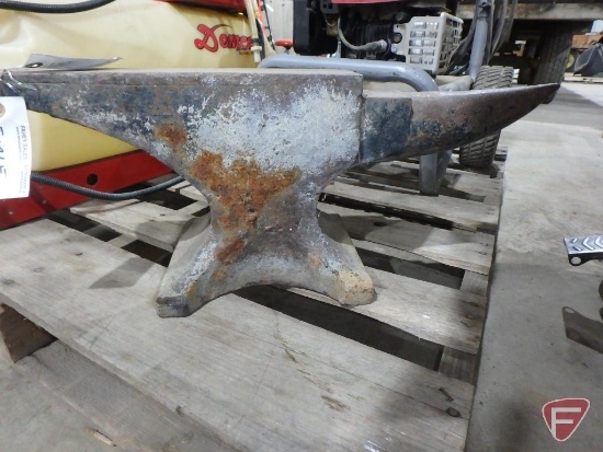 Anvil, 99 lbs., 25"l x 9-1/2"h