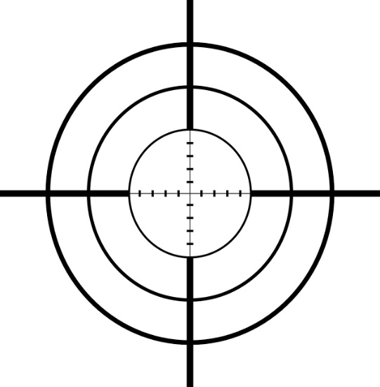 Firearms, Ammunition & Sporting Goods #31