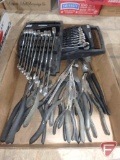 Needle nose pliers, channel locks, and (2) sets ACE Professional SAE and metric combination wrenches