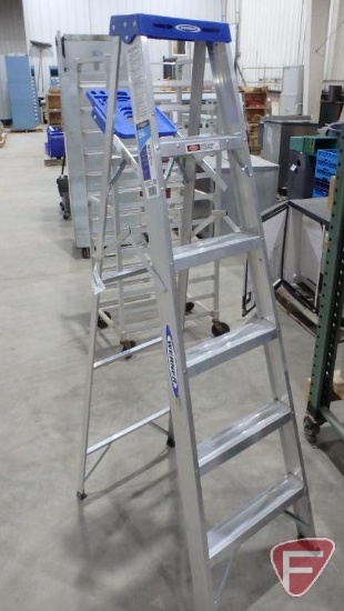 6' aluminum ladder