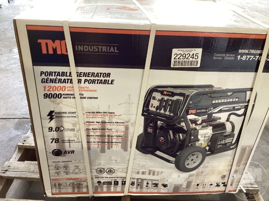 TMG12000GE WATTS 12,000 PORTABLE GENERATOR