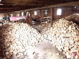 Large pile of dimensional lumber