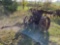 HORSE DRAWN HARVESTER, DAMAGED, MISSING PARTS