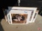 (11) Wildlife prints, mostly Pheasants Forever