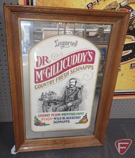 Dr McGillicuddy's framed mirror, 20"x29"