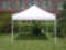 10' x 10' Commercial Instant Pop Up Tent, Serial: 9102-01