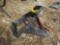 Tree Shear to suit Skidsteer Loader Serial: 6778-90