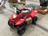 110 CC ATV Full Suspension, Auto Transmission, Electric Start