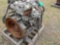 Isuzu 75 KW Engine