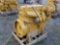 Caterpillar C-7 ACERT 6 Cylinder Diesel Engine