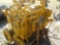 Caterpillar 3306 Engine to suit CAT D6H