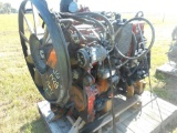 Cummins ISM Engine