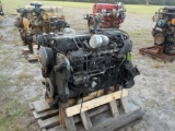 Cummins ISC 12 Cylinder Diesel Engine