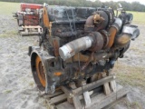 Caterpillar MXS Burnt