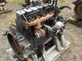 Cummins 5.9 6 Cylinder Engine