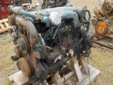 Interntaional 6 Cylinder Engine