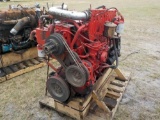 Cummins 855 Industrial Engine