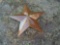 3' Metal Star