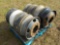 Pallet of Truck Wheels (8 of)