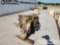 CAT C7 Diesel Engine