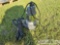 Mustang Submersible Water Pump