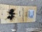 CAT Keys (10 of)