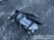 Unused Miva Hydraulic Thumb to suit 1-3 Ton Excavator, Pin Dia 1