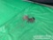 Unused Bobcat D250 Ignition Keys (10 of)