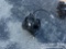 Unused Miva Hydaulic Quick Hitch 1