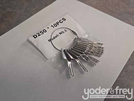 Unused D250 Bobcat Keys (10 of)
