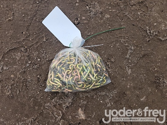 Unused 20' Grade 70, Cargo Transport Chains