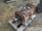 Eaton Fuller Transmission