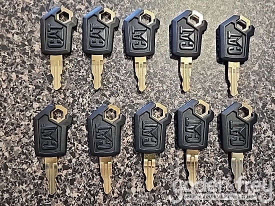 Unused Cat Keys (10 of)