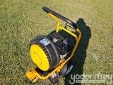 Unused Walk Behind Leaf Blower, Gas