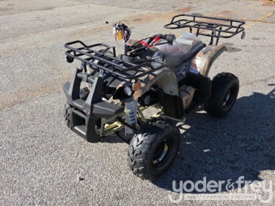 Unused 2026 TAOTAO D125