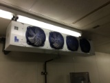 MEAT ROOM 4 COIL FANS