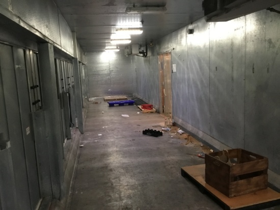 82' x 10' x 9' Rear load walk in box