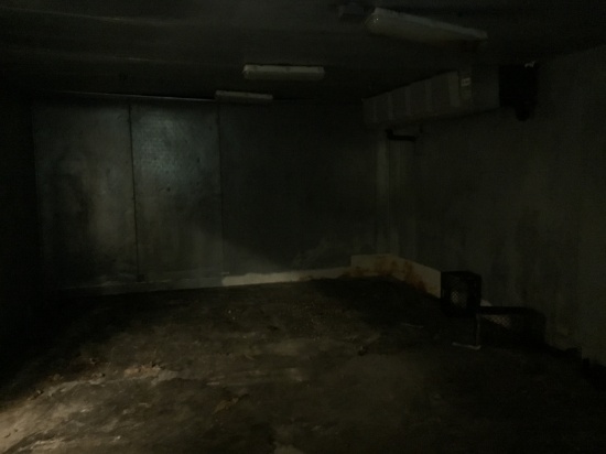 16' x 30' x 8' Freezer walk in box