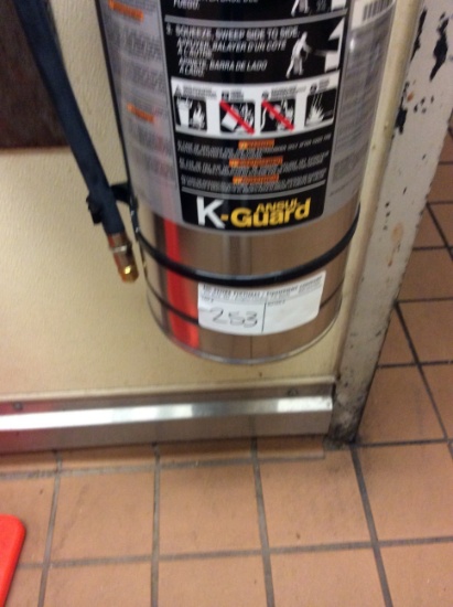 Grease fire extinguisher