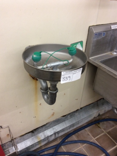 Eye wash sink