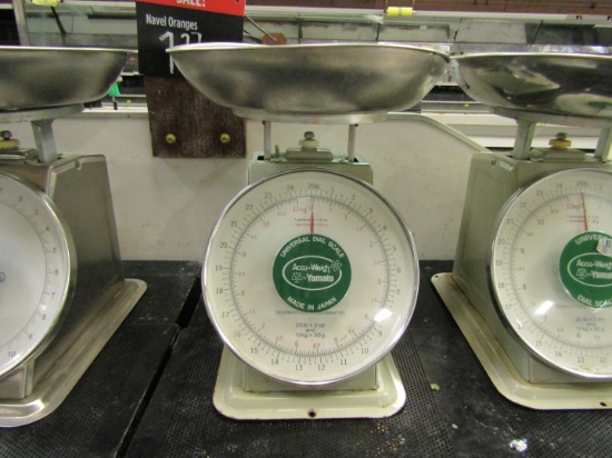 PRODUCE SCALE