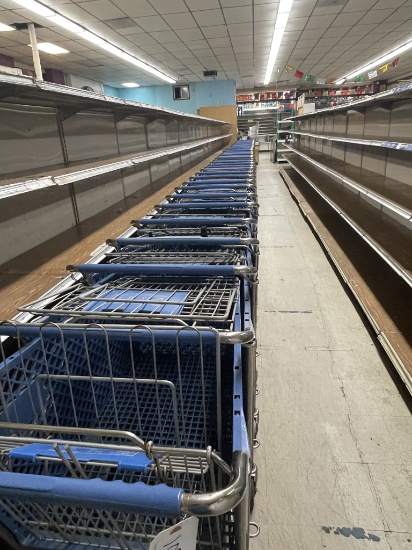 1 lot blue plastic shopping carts