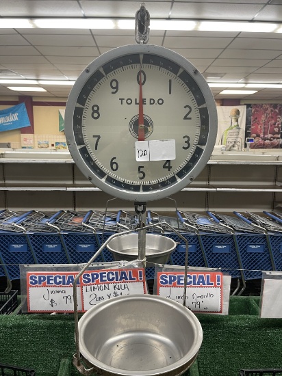 Toledo hanging scale
